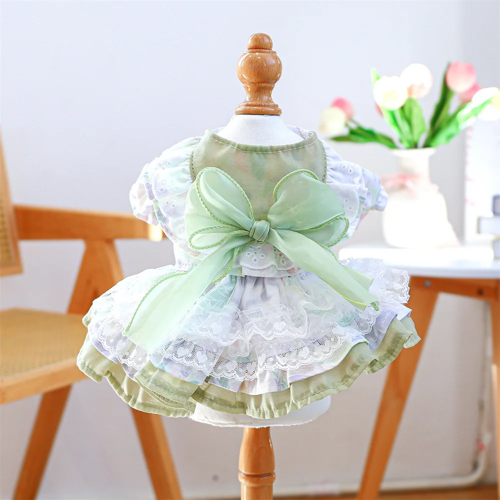 Pet Spring Summer W… - image