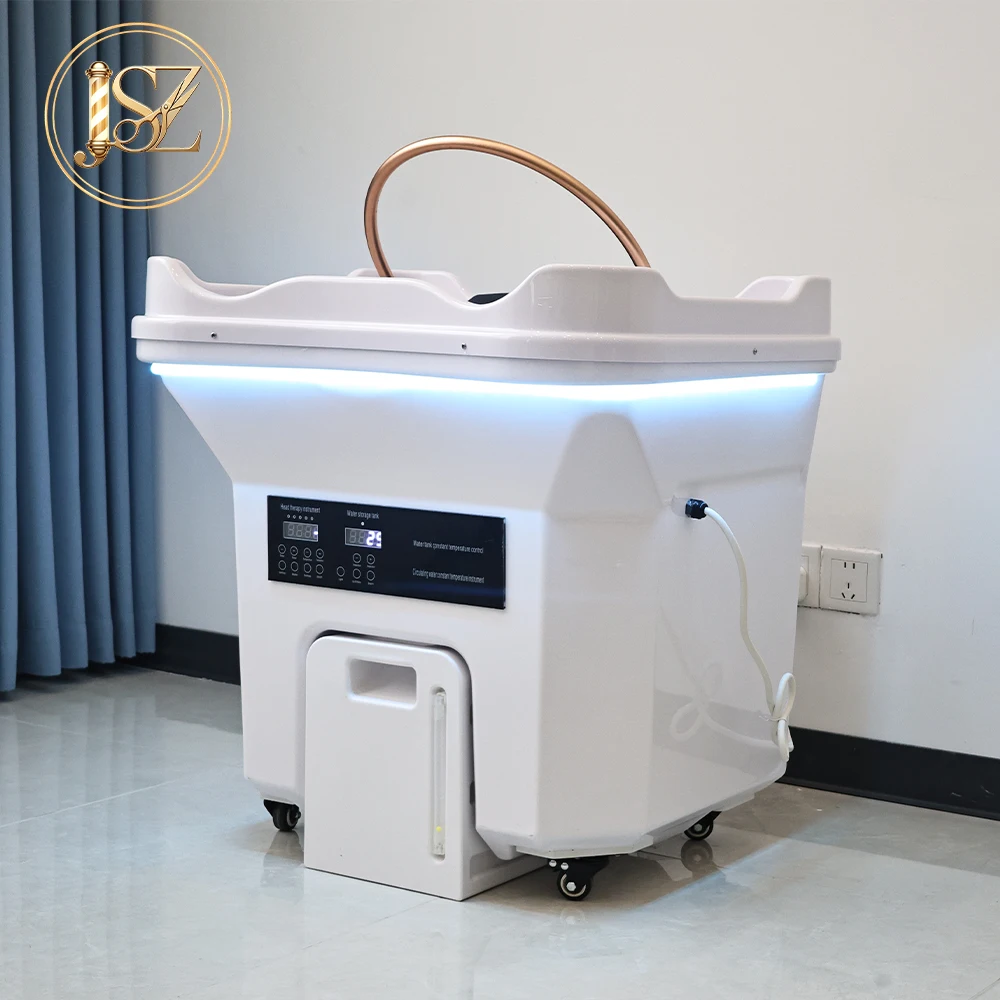 

Corded Electric No Plumbing Shampoo Sink 40L Water Storage Portable Hair Wash Bowl for Mobile Salon Use
