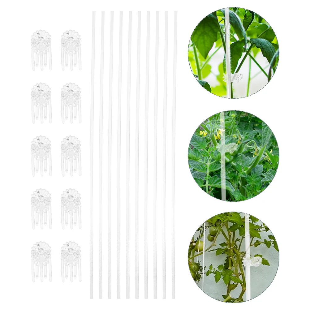 

Plant Support Acrylic Trellis Sticks Orchid Bracket Stakes Clip Branch and Clips