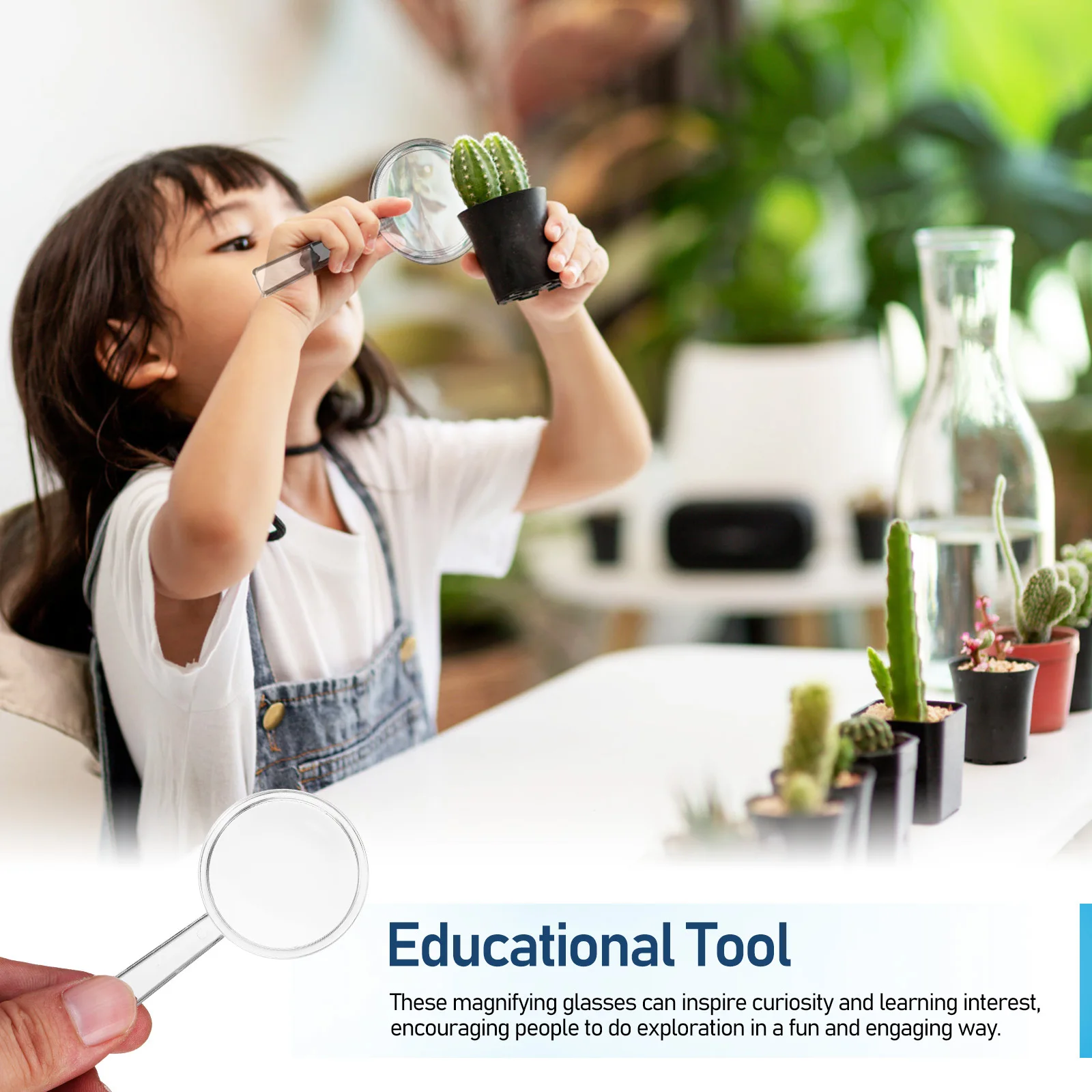 

16pcs 8X Portable Magnifier for Reading Science Exploration Handheld Lens Non-Slip Grip for Kids Seniors Learning Tool Eyewear