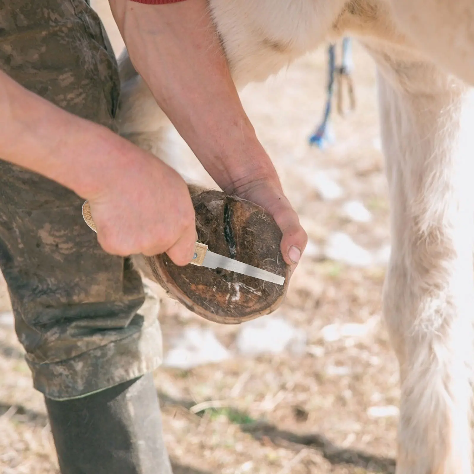 

2Pcs Horseshoe Repairing Cutter Hoof Trimmer Break Resistance Steel Blades Cattle Hoof Trimmer Khaki Horseshoe File