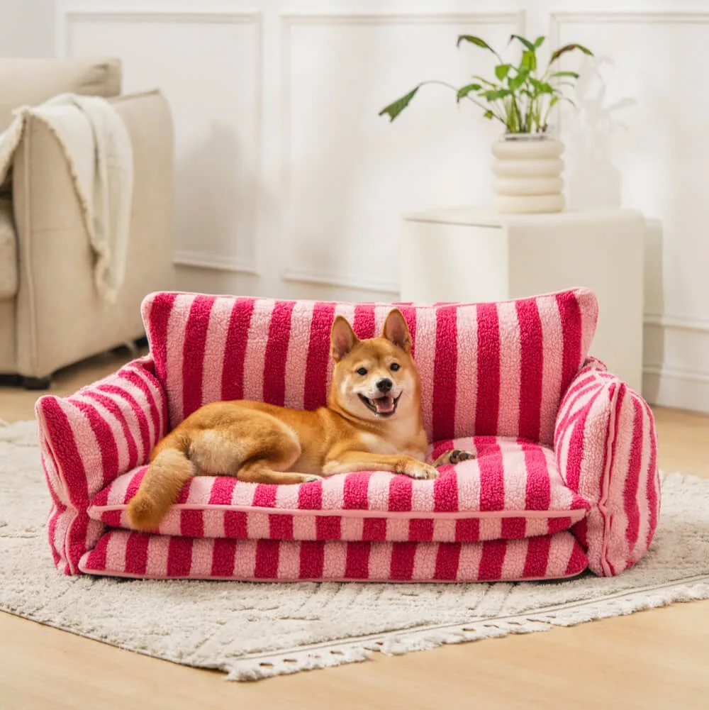 

Dog Sofa Pet Product Bed for Dog Cat Removable Dog Bed with Soft Cushions Cute Winter Bed for Pet Supplies