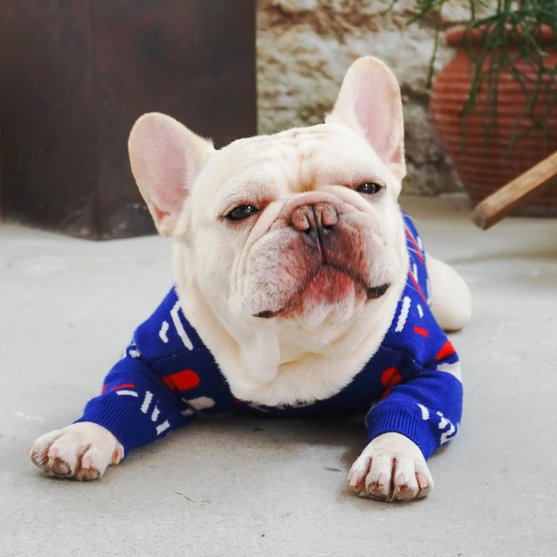 Suprepet Cotton Printed Sweater for Puppy Cute Dogs French Bulldog Warm Clothing Comfortable Pet Accessories Supplier Winter