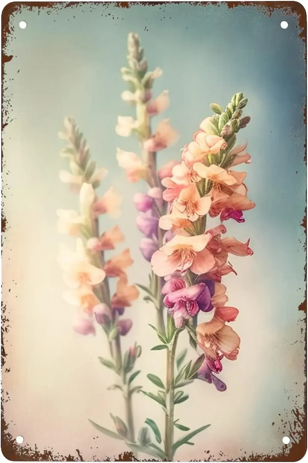 Divertido Cartel De… - image