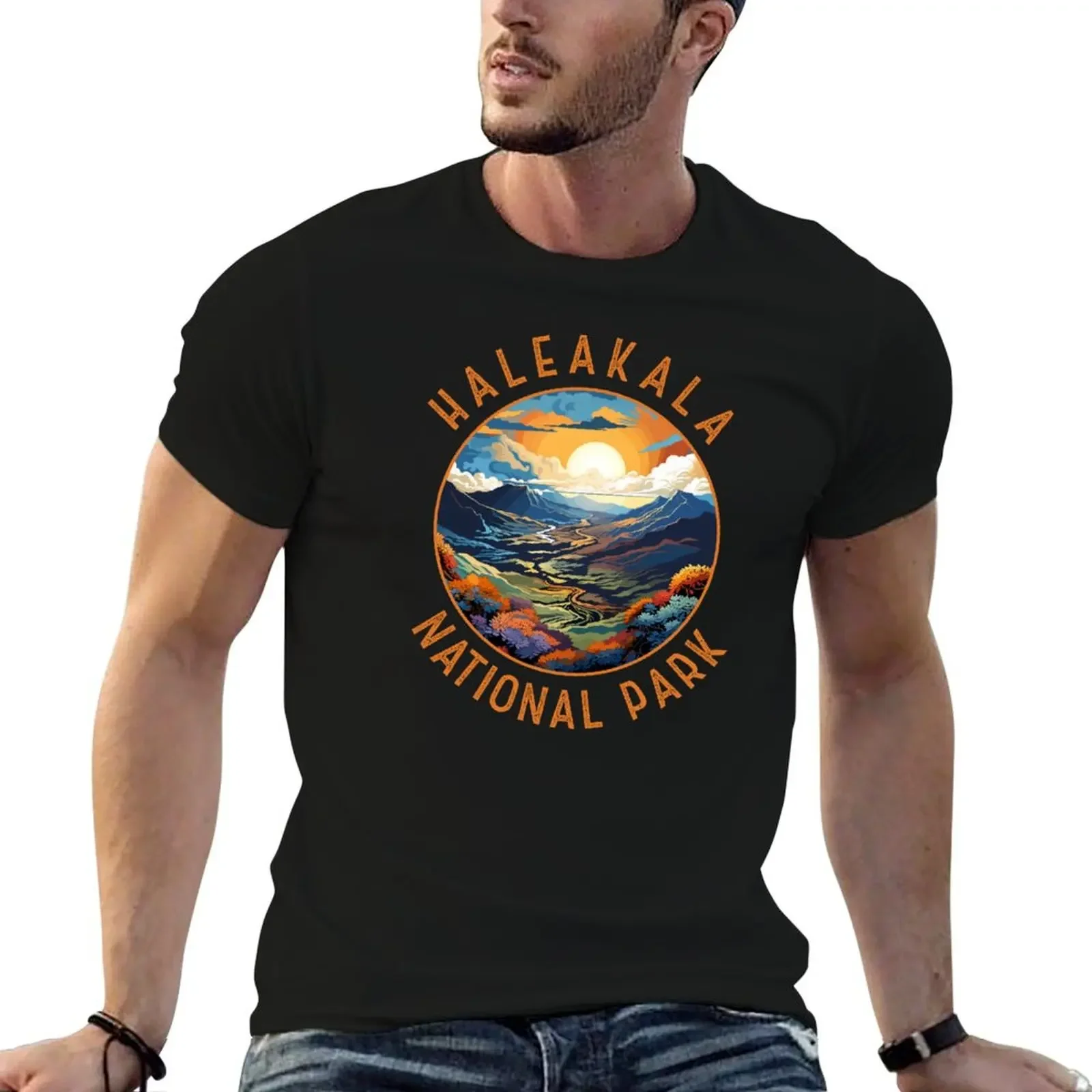 Haleakala National Park Sunset Retro Distressed Circle T-Shirt oversizeds plain mens t shirt graphic