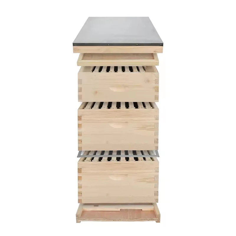 

Beekeeping Beehive Box - 10 or 8 Frame Unassembled Wooden for Sale Honey Bee Hive Manufacturing Supplies