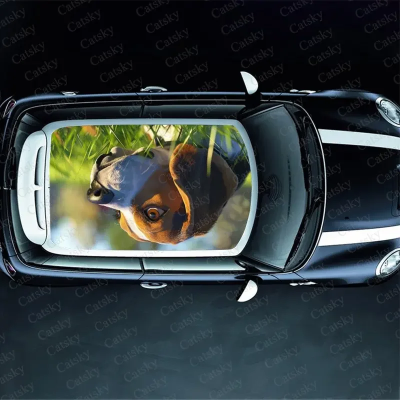 Beagle with Widened Eyes Print Car Roof Sticker Wrap Racing SUV Auto Accessories Packaging PVC Car Hood Graphic Decal Decoration