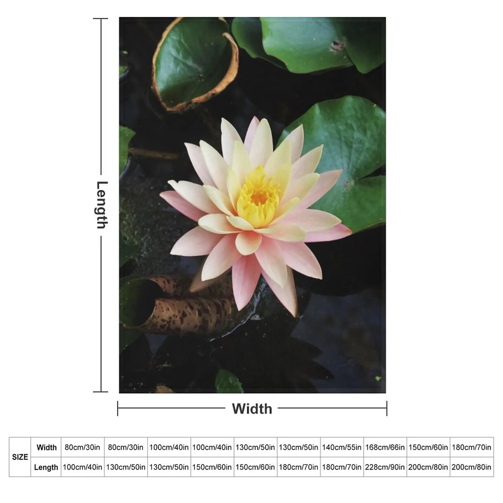 Water Lily 2 Throw Blanket Moving Single cosplay anime warm for winter Blankets