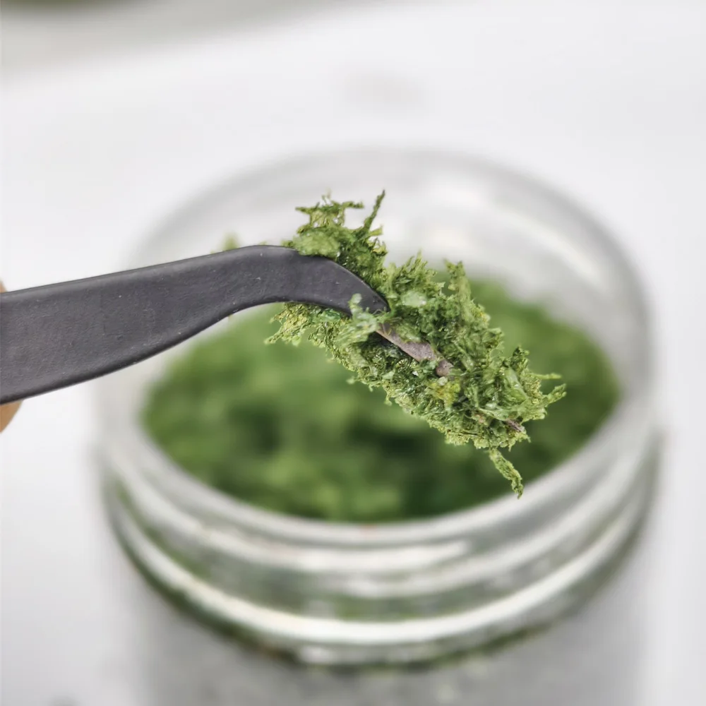 

Miniature Long Strip Tree Powder Simulation Leaves Micro Landscape DIY Model Making/Military Wargame/Railway Scene Layout