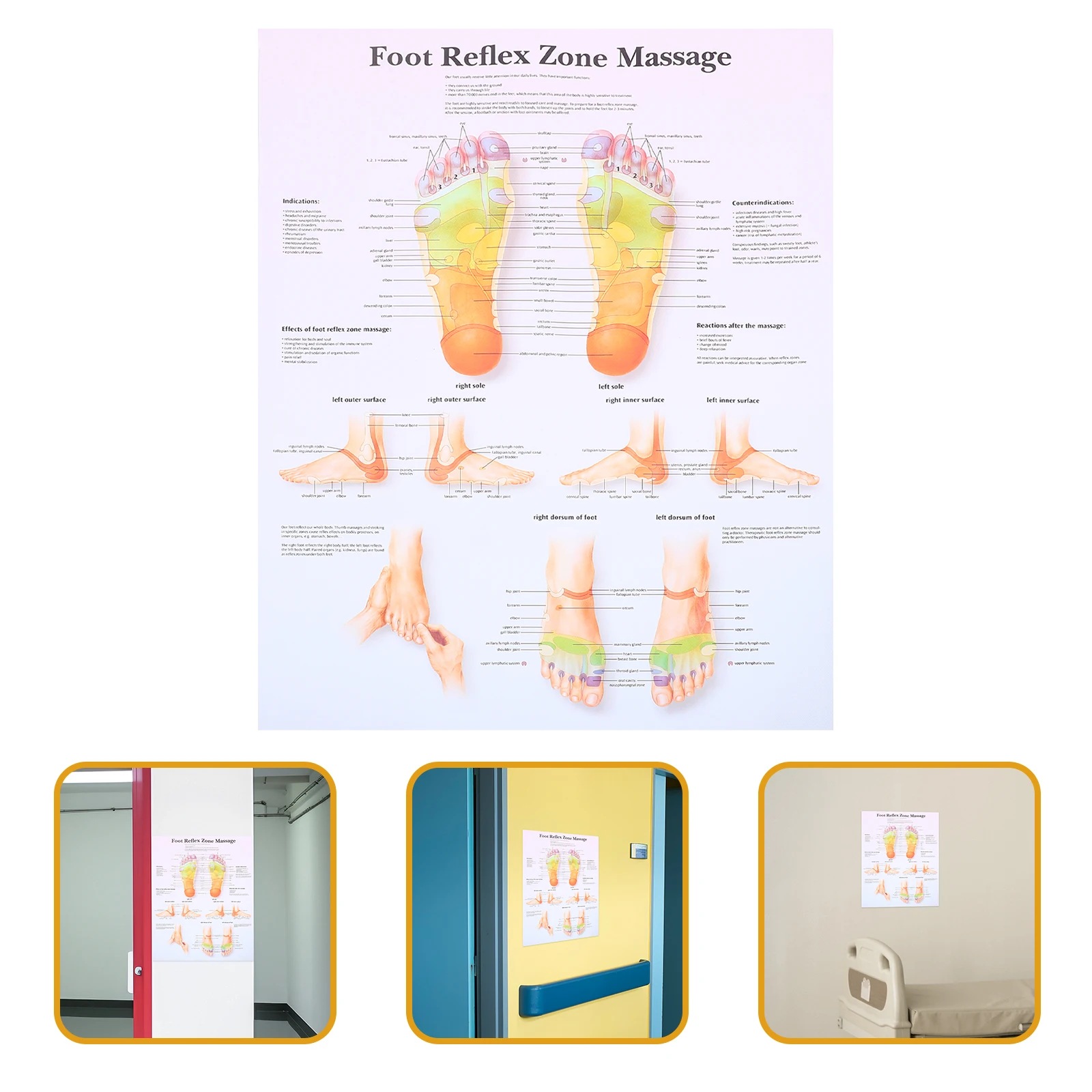 

Foot Reflexology Chart Poster Medical Anatomy Educational Tool for Office Home Decor Canvas Stain Resistant Easy