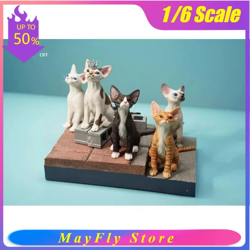 

Модель кошки Девон-рекс JXK, масштаб 1/6, из смолы, милая имитация котенка, подходит для 12-дюймовых игрушечных фигурок, аксессуары
