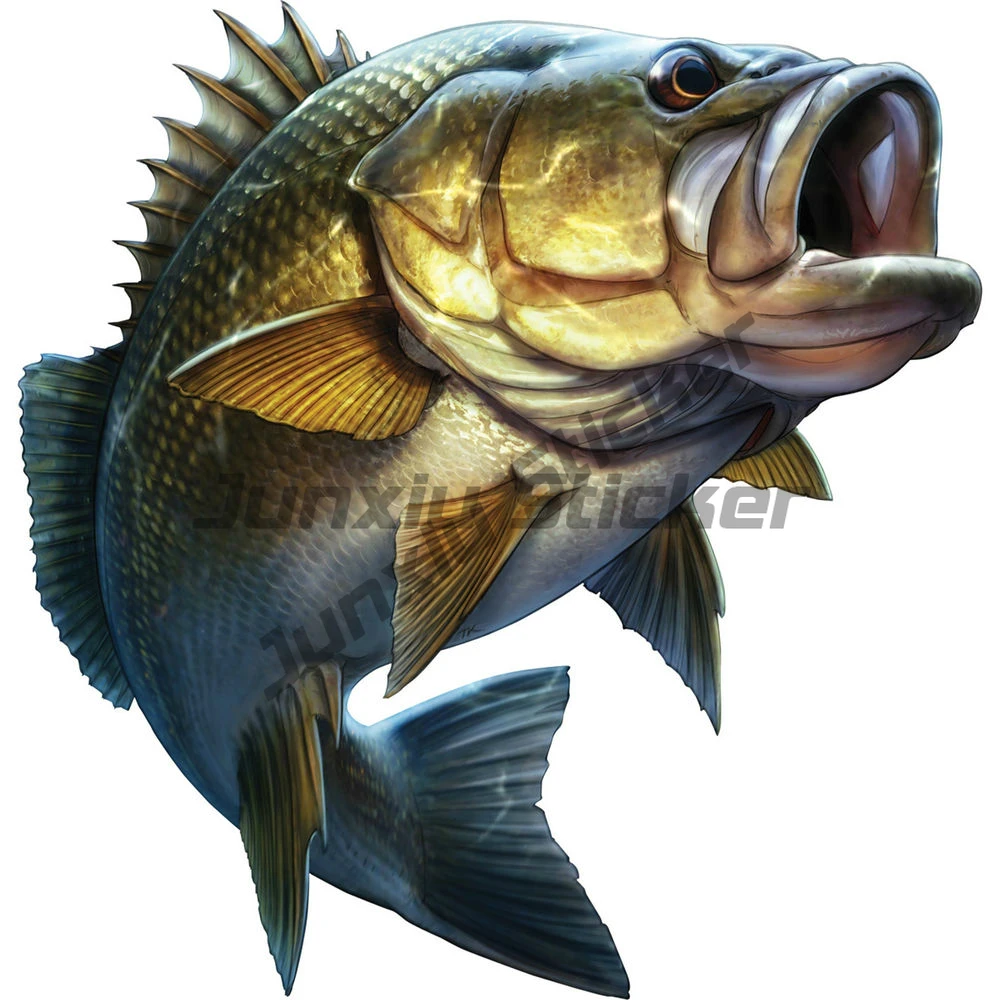 

Fishing Cartoon Large Mouth Bass Fish Styling Car Sticker Boat KayakTruck Laptop Exterior Accessories Vinyl Decals