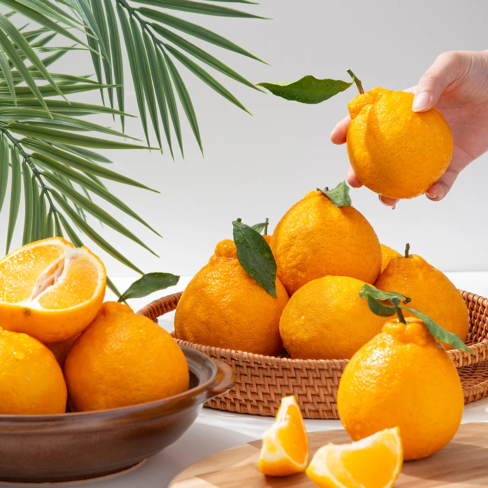 [Meeksaengga] Jeju Seogwipo Nogi Hanraebong (Surtido y Mixto) 5 kg