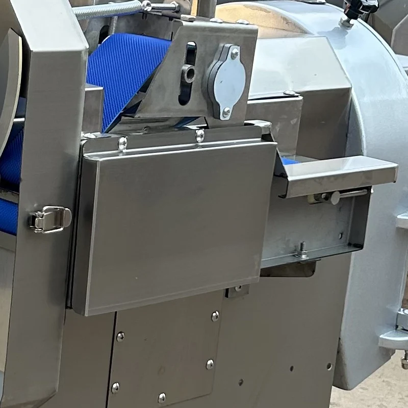 

Commercial Vegetable Cutter Machine Stainless Steel Double Head Cabbage Tomatoes Chili Peppers Slicer Chopper Machine