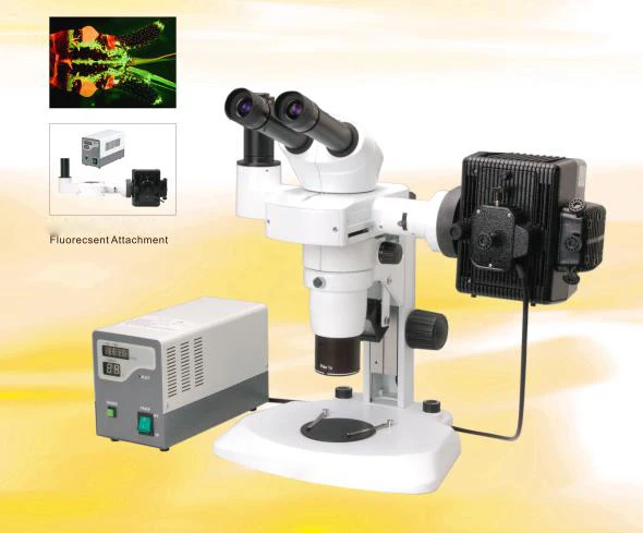 MAYA Medical Lab Equipment Fluorescent Stereo Microscope Zoom Objective Stereo Microscope