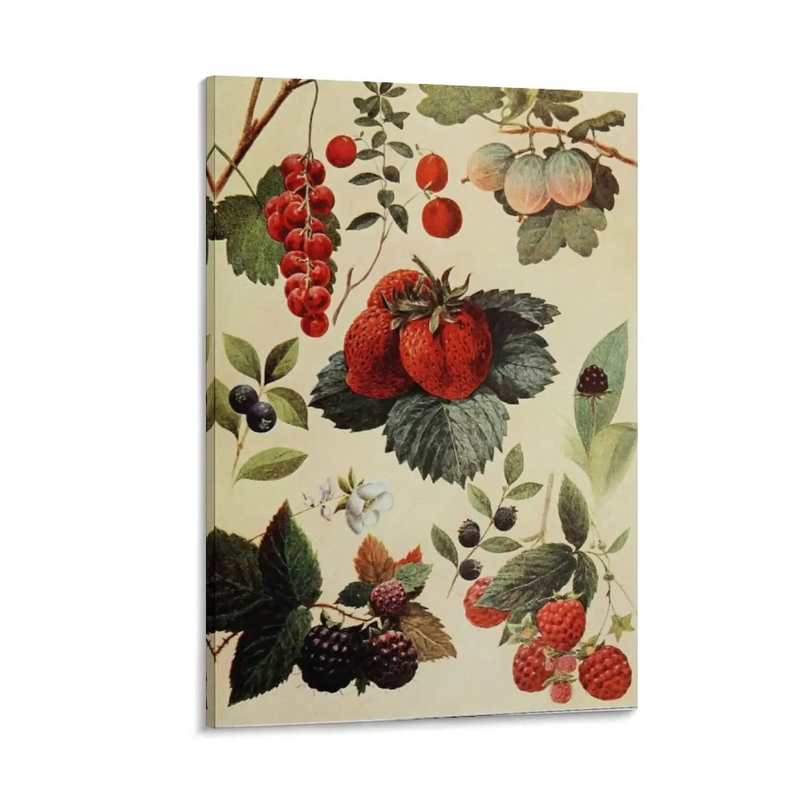 

Berries Life Cycle Canvas Painting room decorations for girls posters for room Decoration wall anime figure