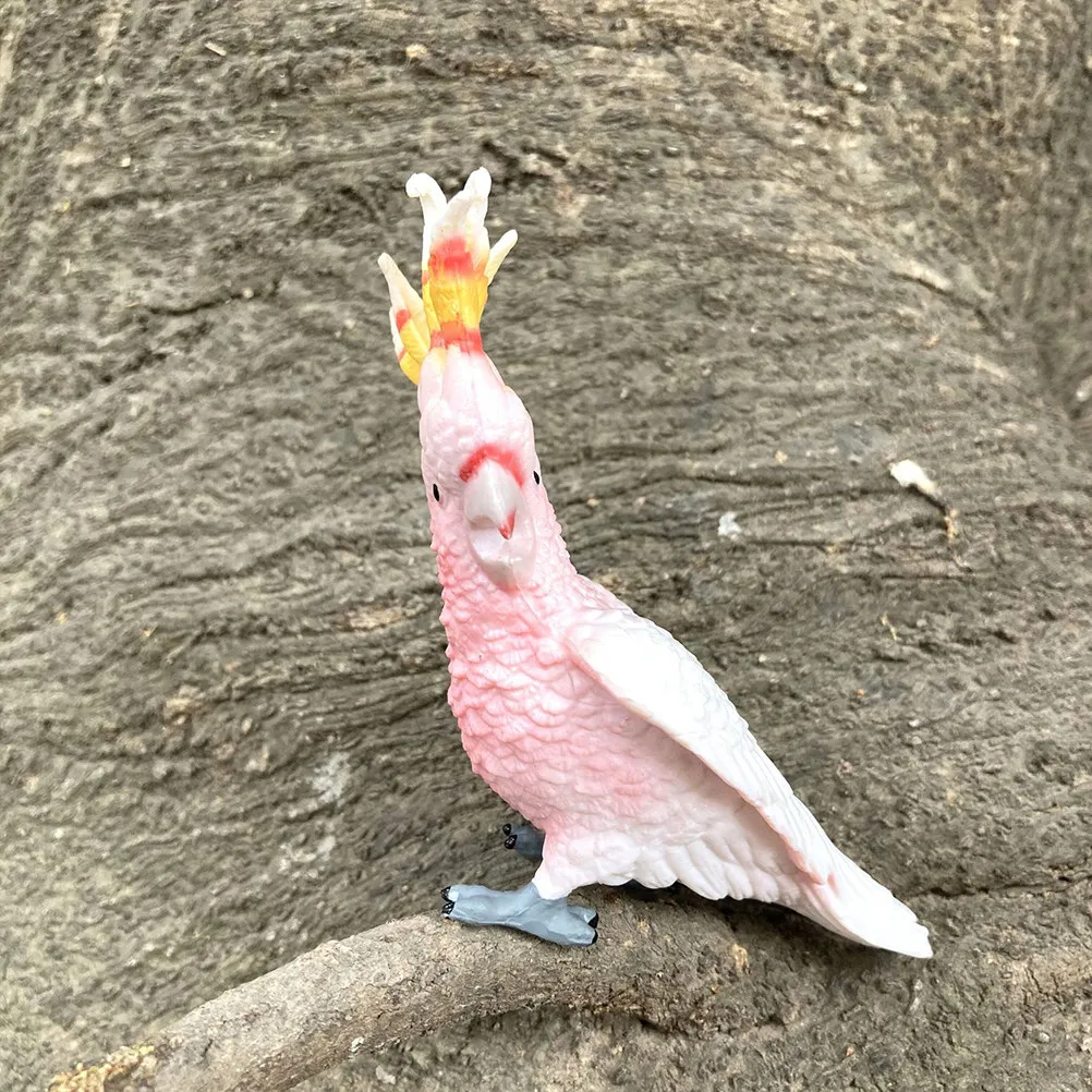 

Молукканская попугая-какаду: пластиковая имитация, реалистичная развивающая игрушка для детей, обучающая о племени животных и их экологии