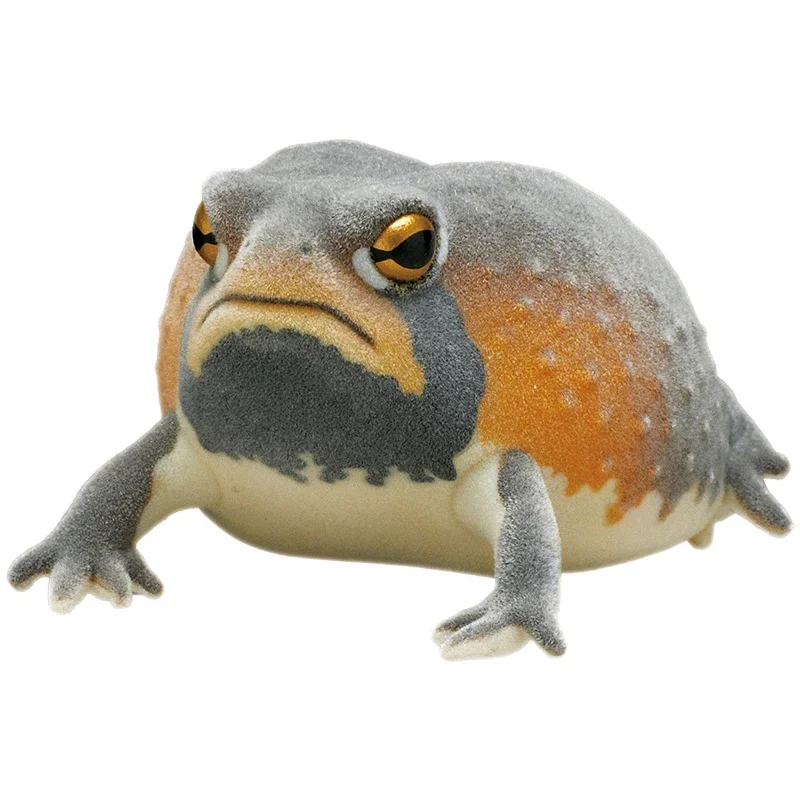 Breviceps Adspersus Gashapon Kolekcja Ozdoba na Biurko Figurka Akcji Model Zabawki Flokowane