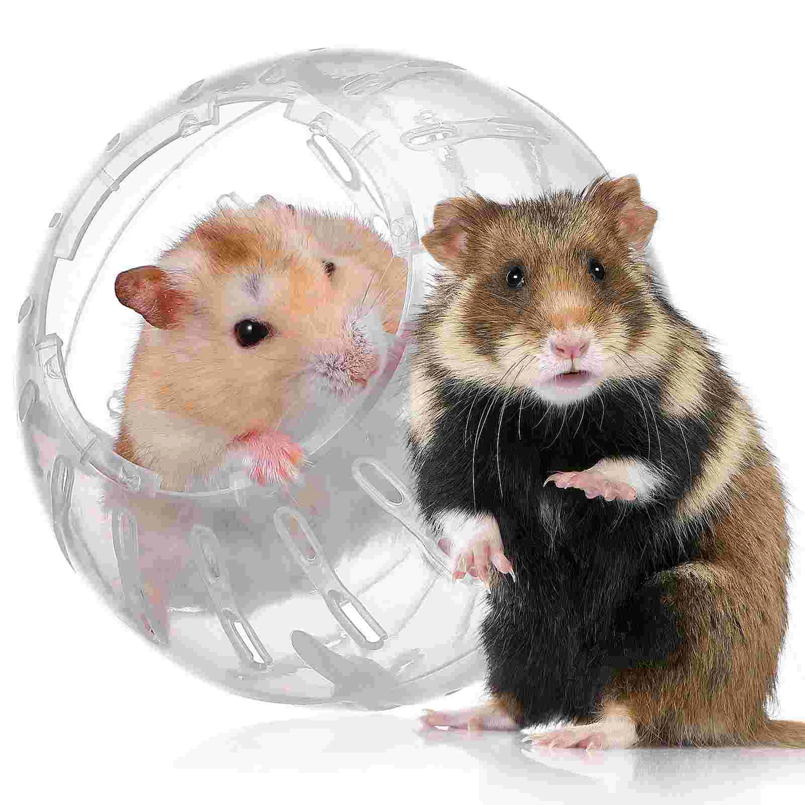 Hamster Toy Hedgehog Running Balls Reptile Fogger Small Animals Exercise Pet Supplies Dwarf Stuff