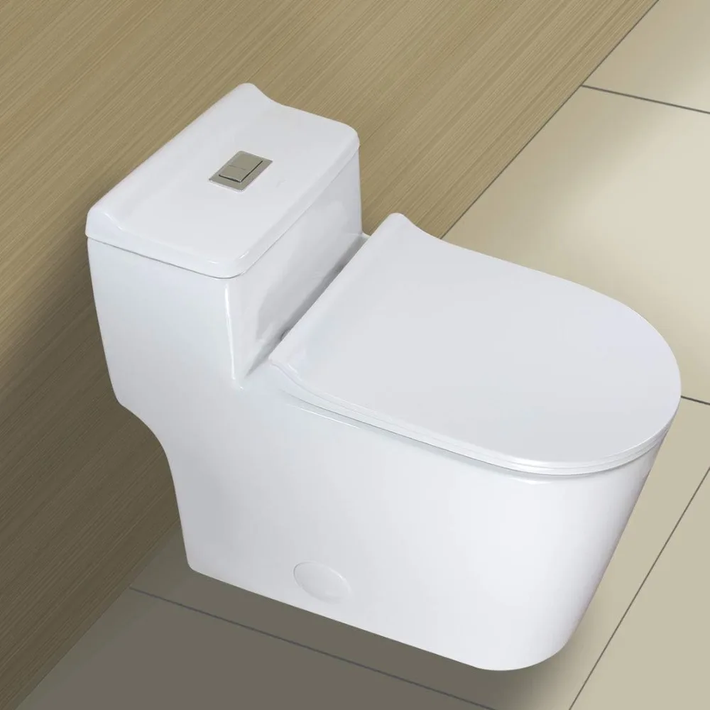 WZ5080 Elongated Dual Flush One Piece Toilet Low Profile 17.25