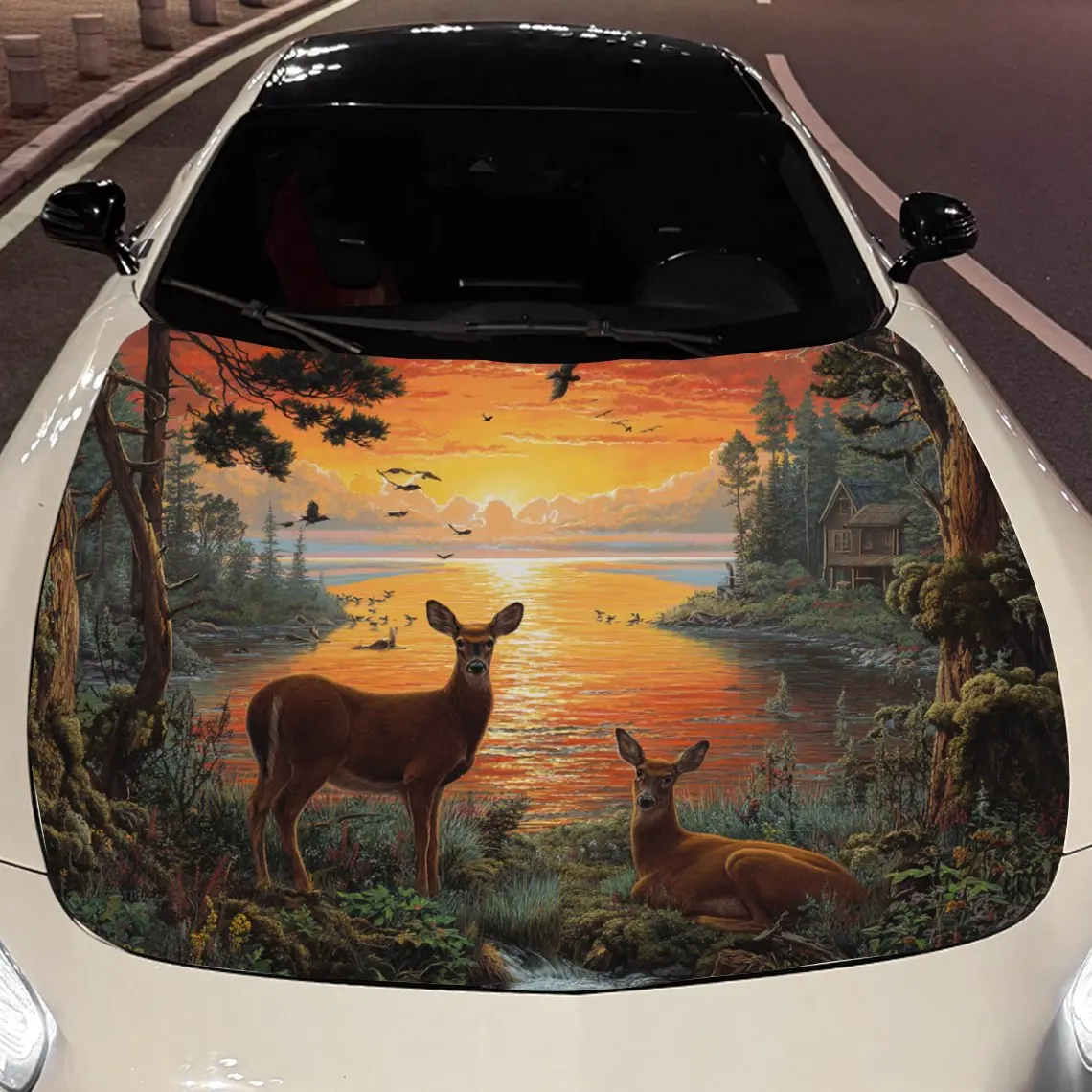 

Car Decals Deer in Sunset Forest by Lake Car Hood Sticker, Waterproof Self - Adhesive Vinyl Graphics Decals, Decorative Protecti