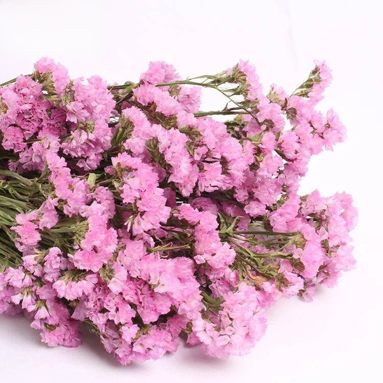 غرفة المعيشة سطح المكتب جاف ننسى لي لا الزهور ديكور المنزل مادة الزهور الحقيقية باقة الزهور الجافة منضدية فن الأزهار