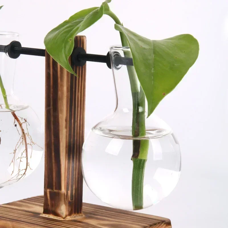 Hydroponic Glass Vase 4