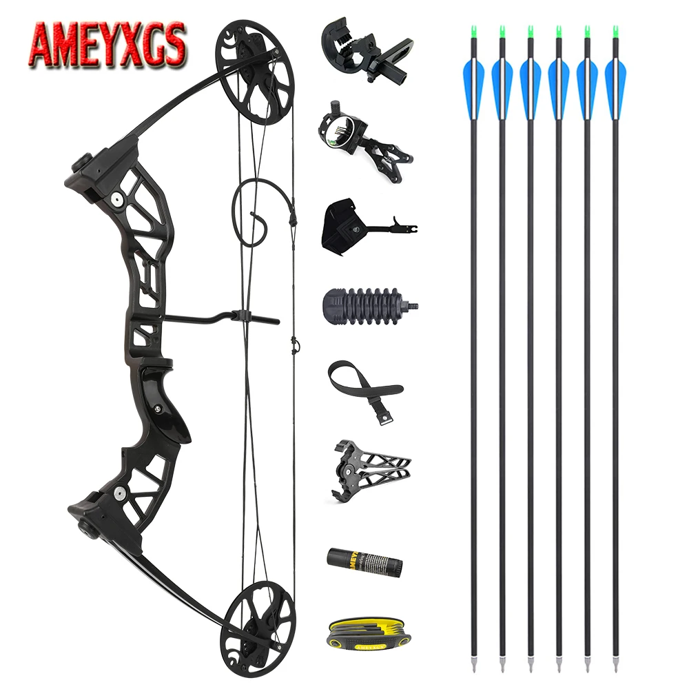 

38-70 lbs Compound Bow Carbon Arrow 5 Pin Sight Bow Release Archery Beginners Right Hand Adult Shooting Bow Set