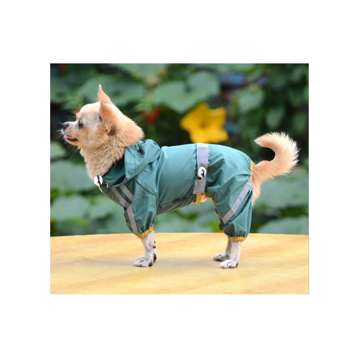 

Waterproof Reflective Dog Raincoat Pet Rain Slicker For Small Medium Dogs Hoodie Movement Comfortable Fit Fashionable