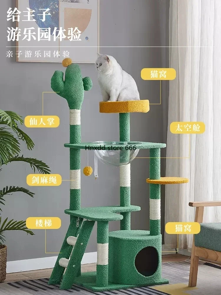 Kattenklimframe Zomercapsule Bezet De Kattenbenodigdheden Van Het Springplatform Niet