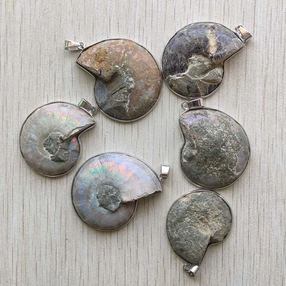 Natural ammonite snail shell healing stone pendants for necklaces jewelry accessories making fast shipping Wholesale 6pcs/lot