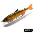 HS005