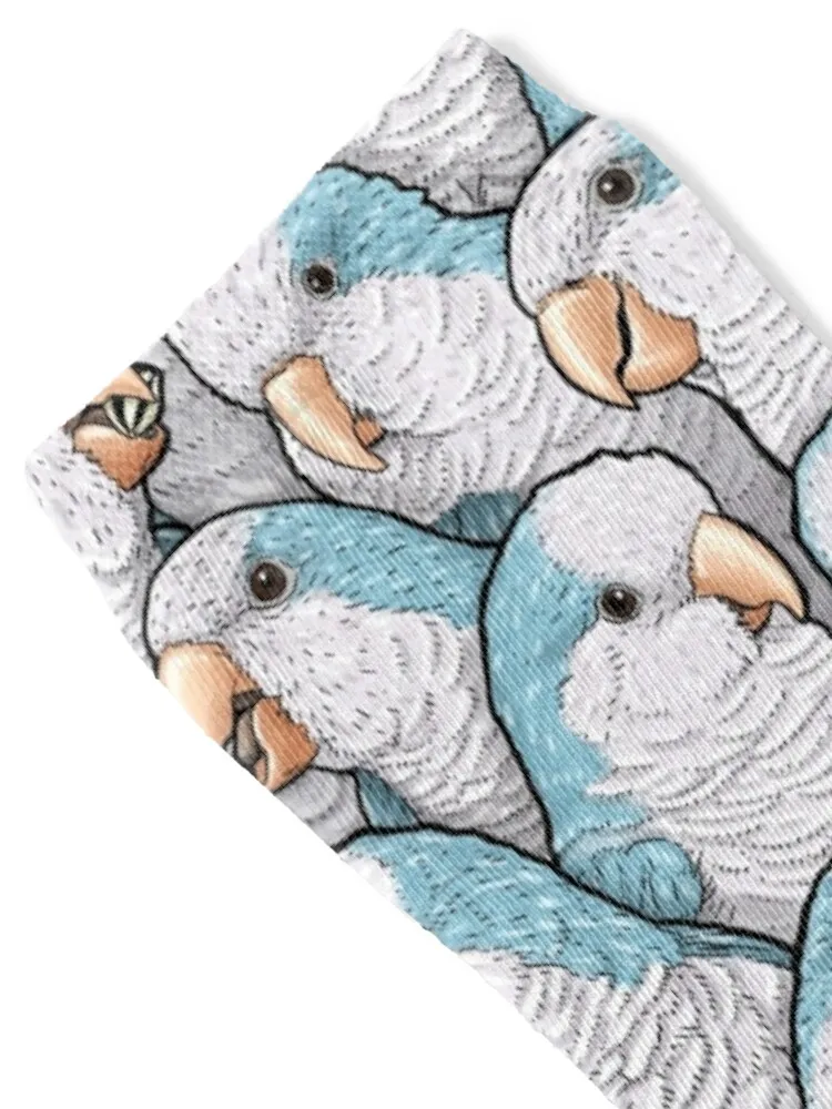 Blue Quaker Monk Parakeets Socks New year's cute Socks For Girls Men's