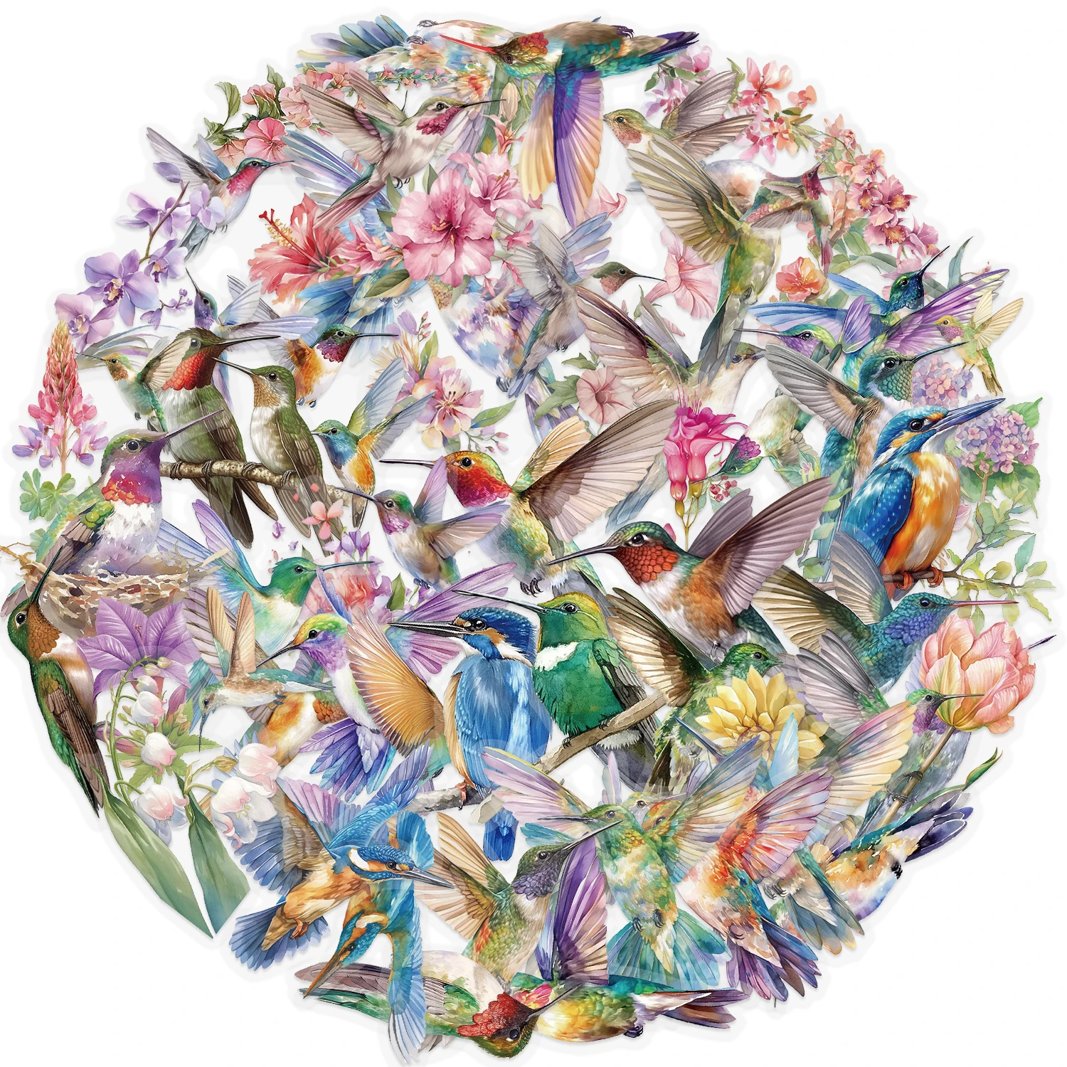 50/100 قطعة ملصقات الطائر الطنان الإبداعية الهاتف المجتمع سكيت DIY بها بنفسك موضة عنبر Chambre الحنين ملصق مضاد للمياه #1