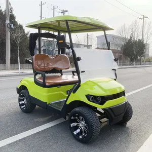 Golf arabası, koltuk minderli elektrikli, av için araba-yeni enerji, sigorta, 2 kişilik, pil lityum, 72V 8 mini elektrikli otomobillerin en çok satan 2 koltuklu-no. 4