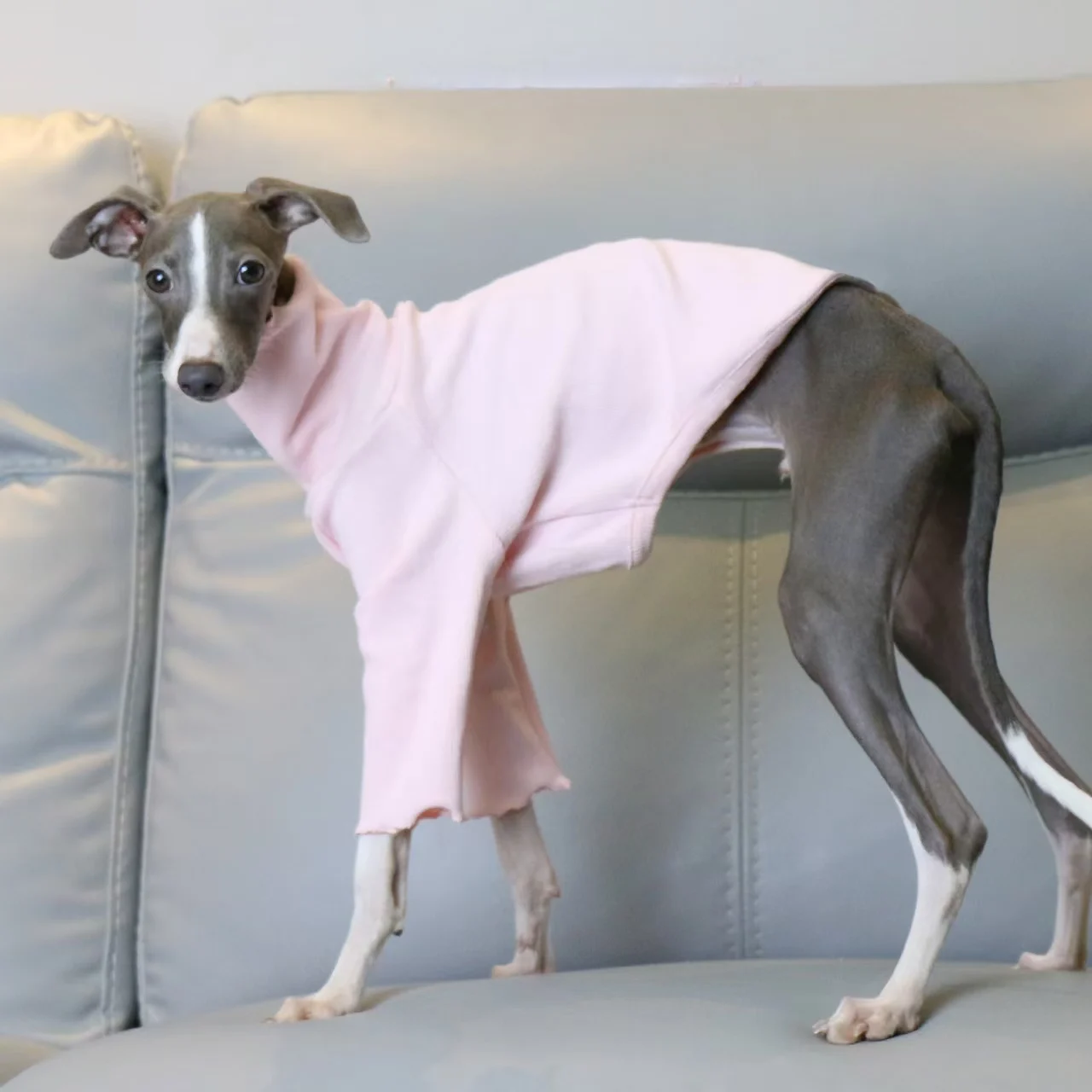 Vestiti per levrieri italiani Camicia Whippet con fondo elastico rosa filettato a collo alto Abiti morbidi e confortevoli per animali domestici
