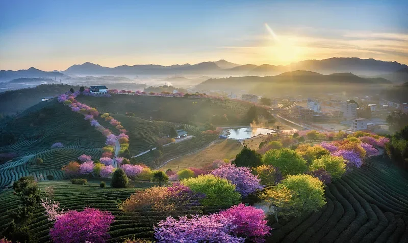 

Металлический амортизатор ZD Racing — масляный регулируемый передний и задний демпфер 120 мм и 143 мм для радиоуправляемых автомобилей 1/8 (HSP, HPI, Wltoys)