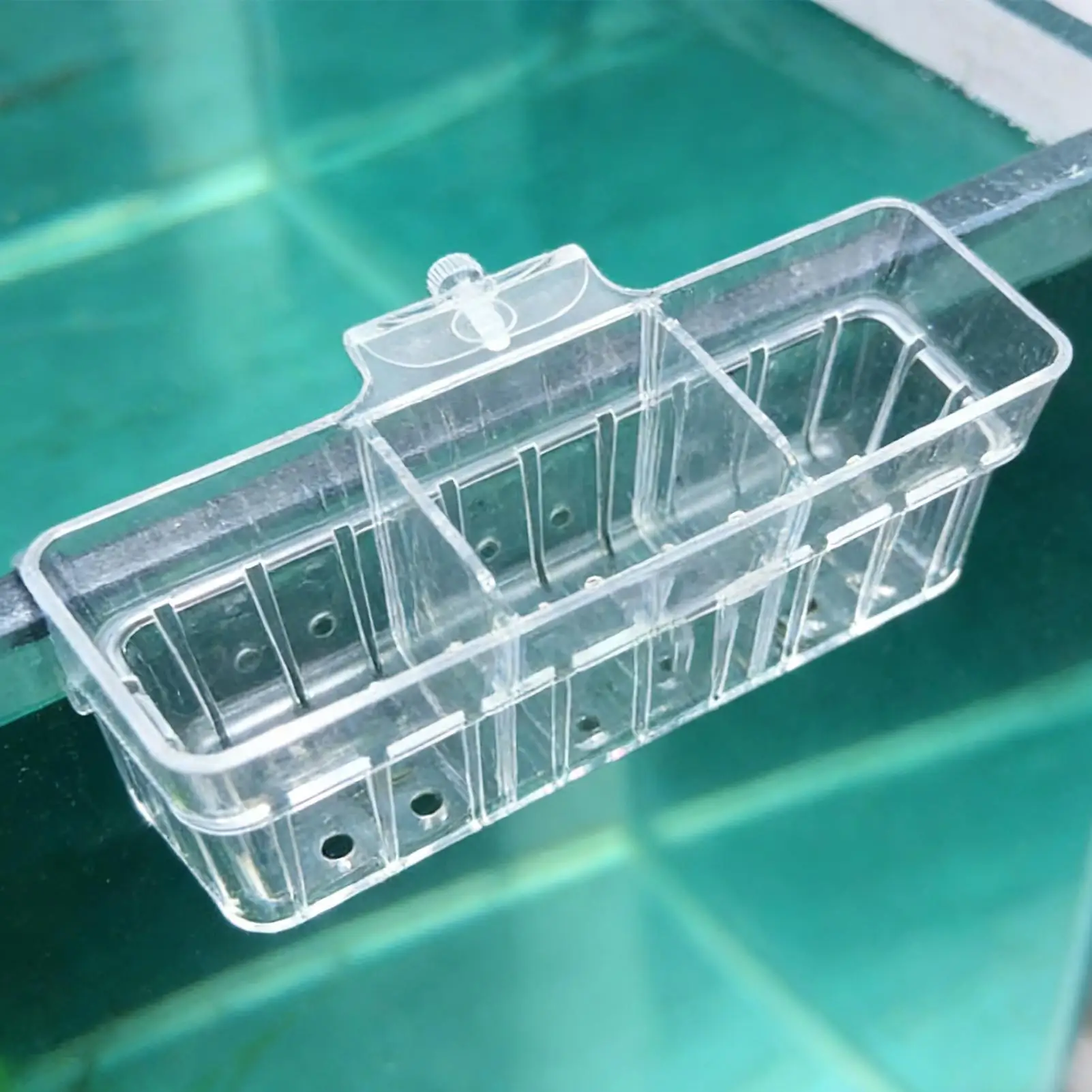 

Подставка для растений в аквариум с 3 регулируемыми отсеками, прозрачные гидропонные стаканчики для аквариума, для креветок, бетт, пресноводных террариумов