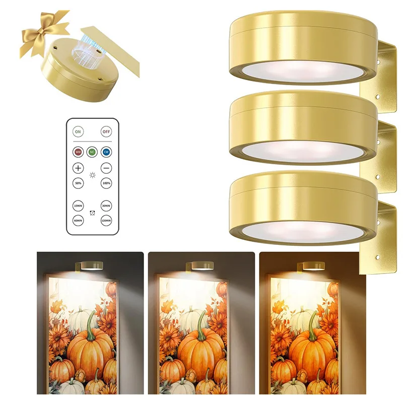

LED Art Display Lights Gold Battery Operated Magnetic Painting Lights With Remote Control Wireless Home Wall Decoration 2PCS