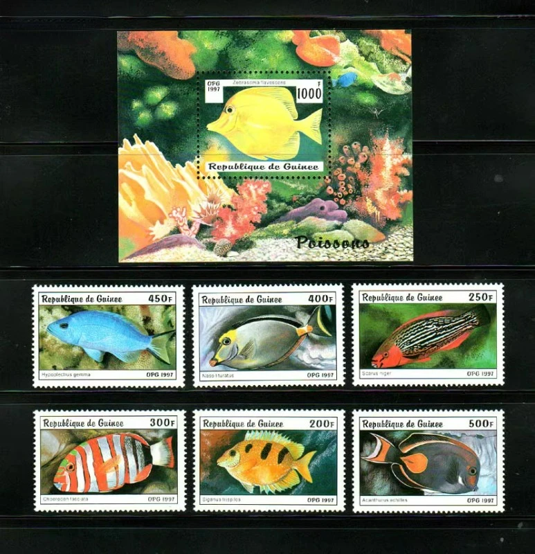 6 PCS+1, Guinea, 1997, Sealife, Real Original Post Stamps for Collection, MNH