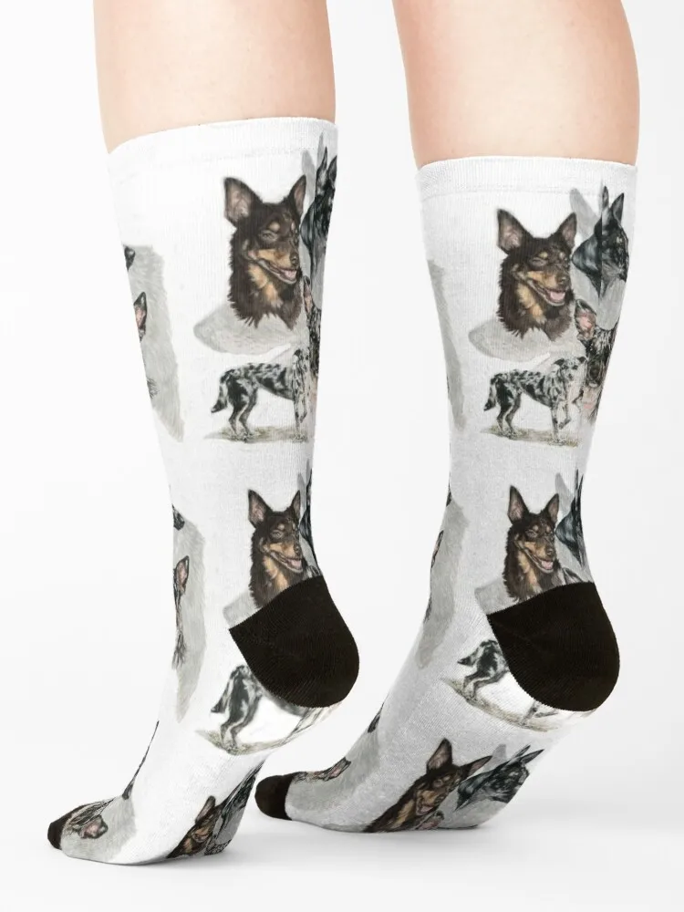 Australian Koolie Medley Socks anime halloween loose short Socks Ladies Men's