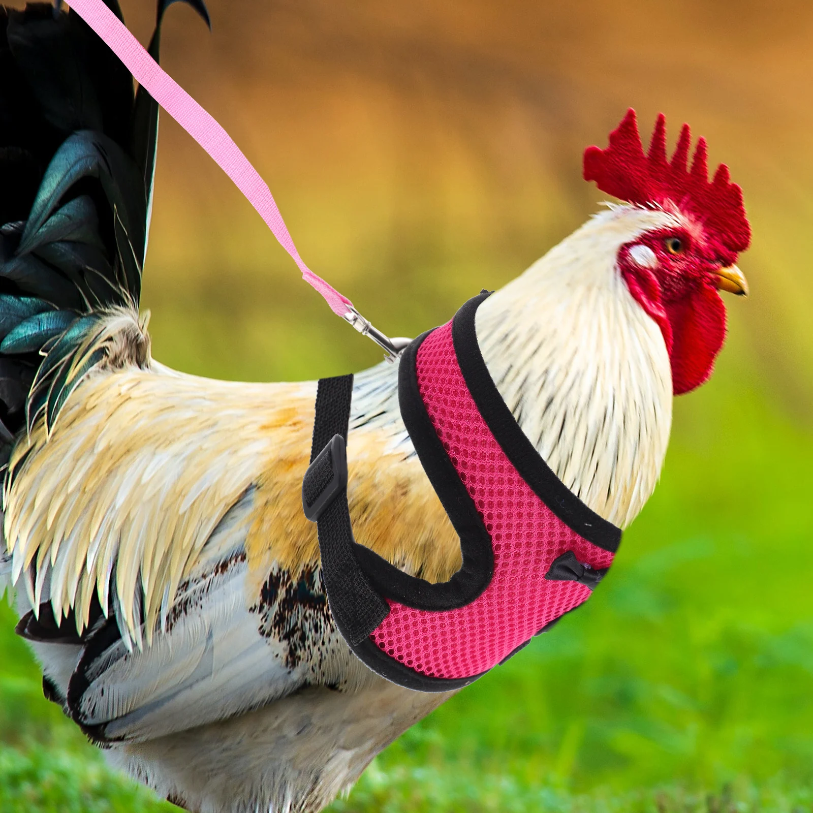

Chicken Harness Hen Vest Durable Practical Adjustable Leash Outdoor Training Pulling Strap for Pet Rooster Hen Walking Accessory