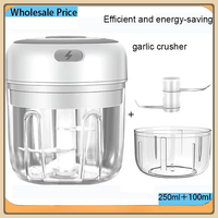 100/250mL USB Charging Garlic Mincer Mini Crusher Chopper Electric Garlic Chopper Powerful Ginger Garlic Onion Meat Masher