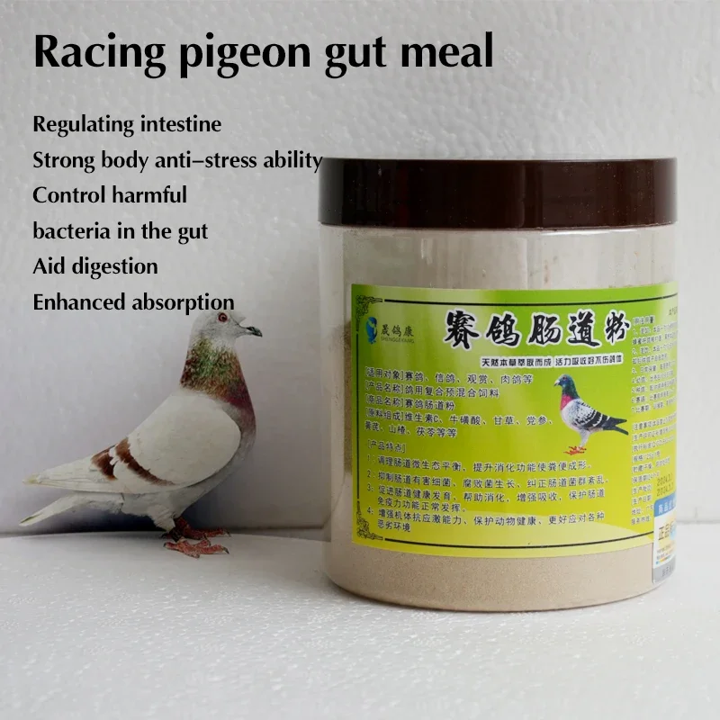 Pigeon intestinal powder regulates intestinal microecological balance to help digestion and strengthen body anti-stress