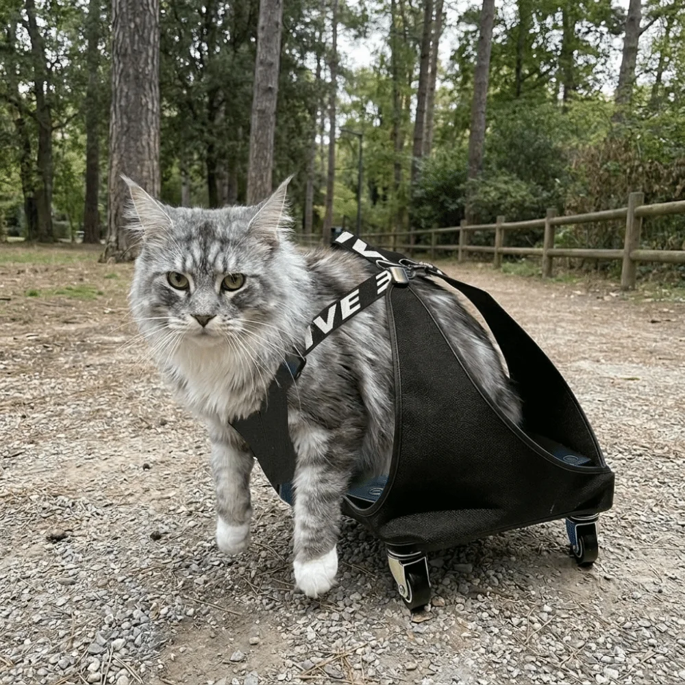 Adjustable Pet Towing Bag Pulley Car Professional Breathable Dog Drag Bag Protective Pet Assisted Walking Vehicle Elderly Pet
