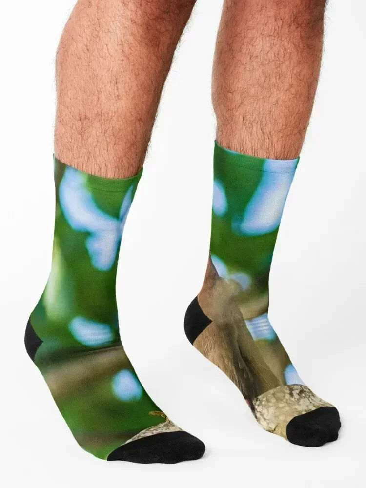 Spotted Dove Socks winter thermal anime New year's Stockings man Men's Socks Women's