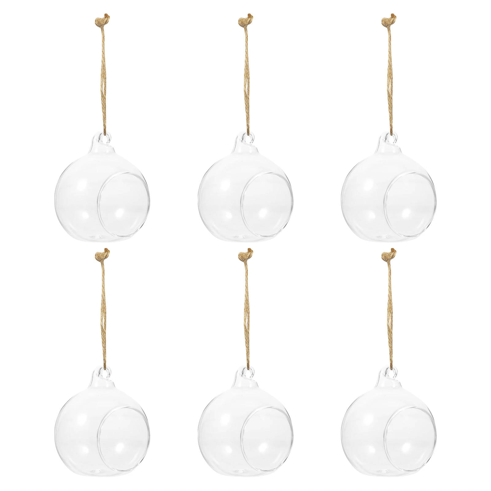

6 Pcs Vases Glass Ball Hanging Basin Plant for Decor Transparent Rope Home Holder