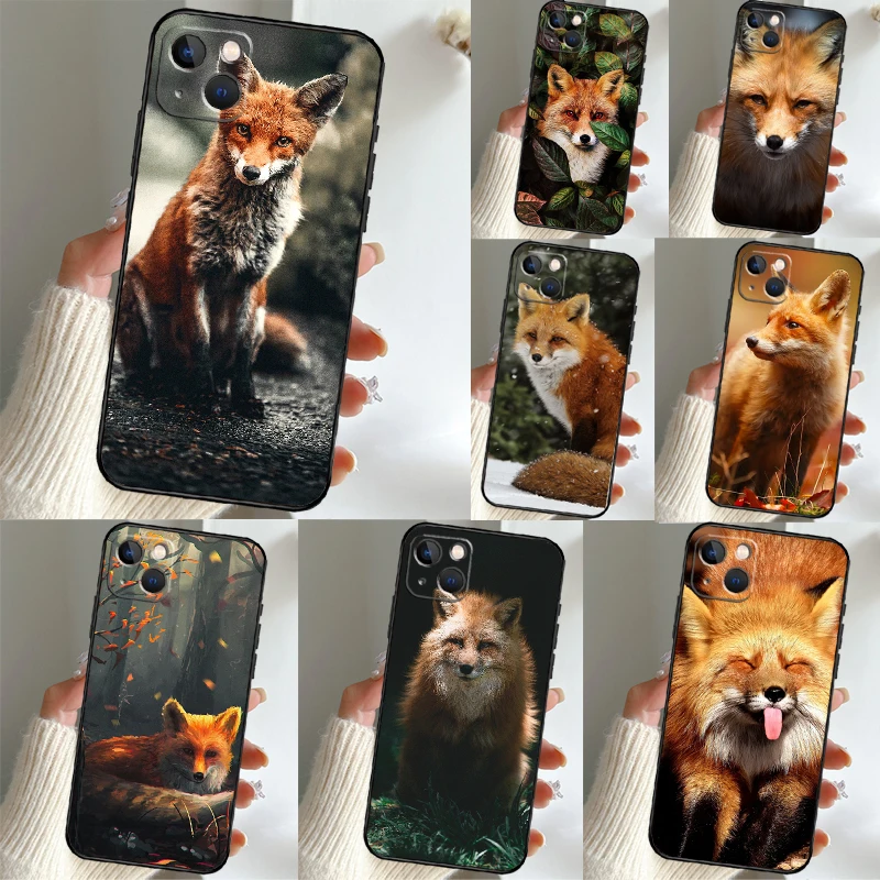 Cute Fox In Autumn … - image