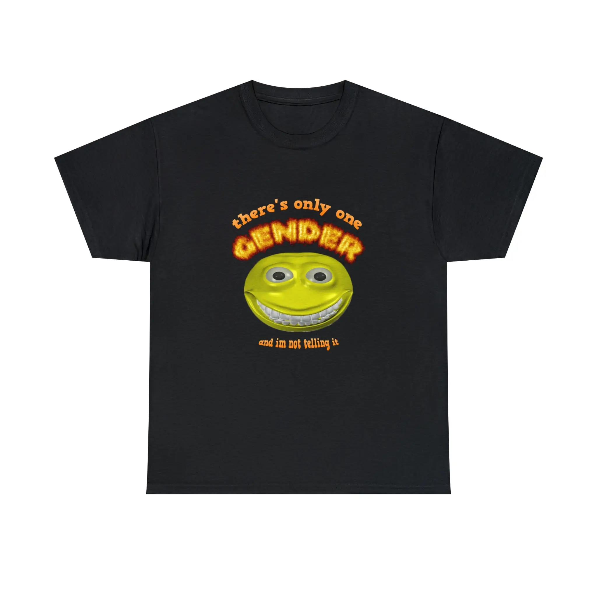 There's only one gender and I'm not telling it T shirt Funny Cursed Meme GenZ