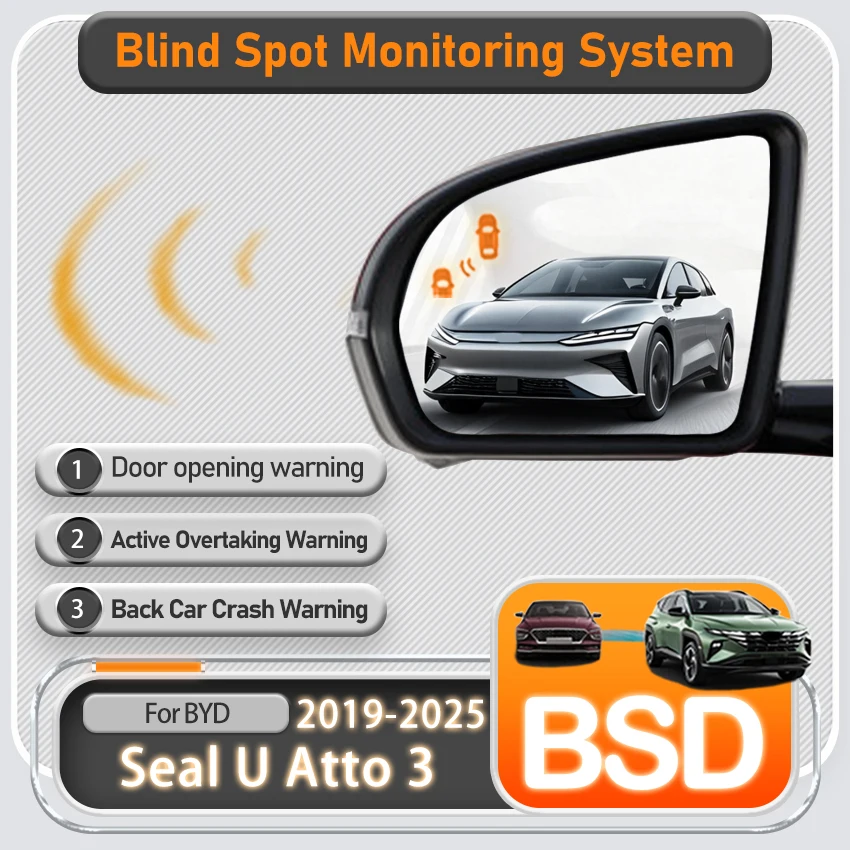 Car Blind Spot Moni…